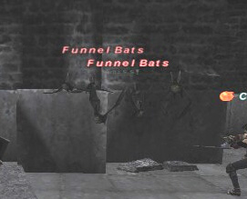 Funnel Bats Picture